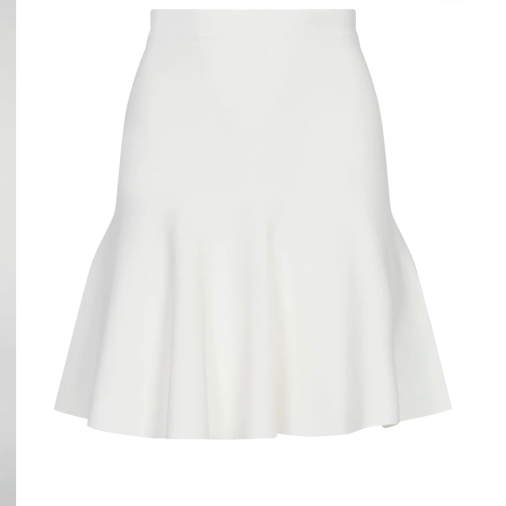 BCBG Ingrid A Line skirt
